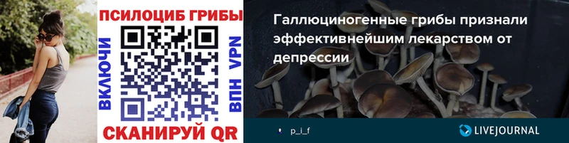Галлюциногенные грибы Cubensis  Малоархангельск 